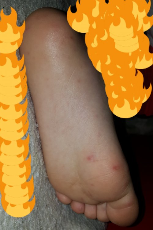 Snapchat-486748759.jpg