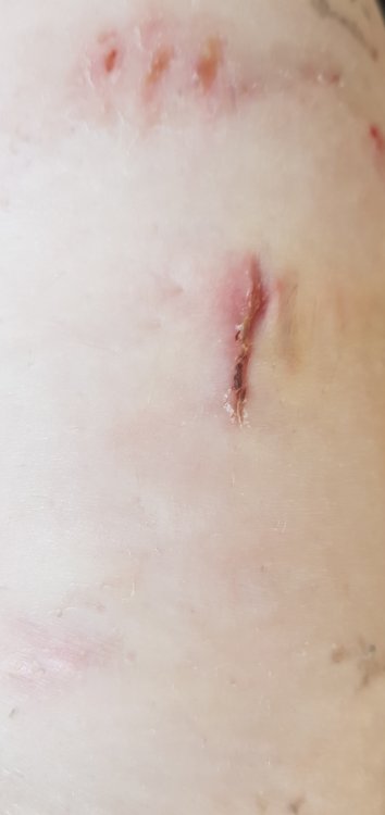 20171027_120344.jpg