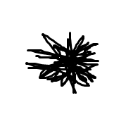 stjer.png.3ccc9af169dcdcc0670ab22894fa2a70.png