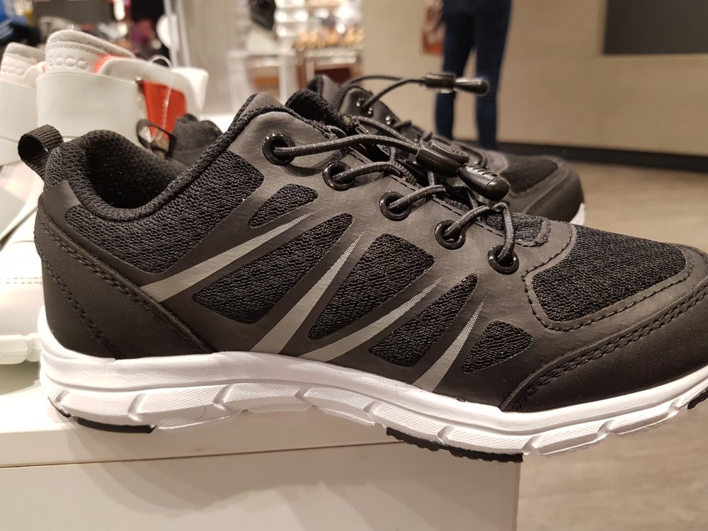 20180331_131055.jpg