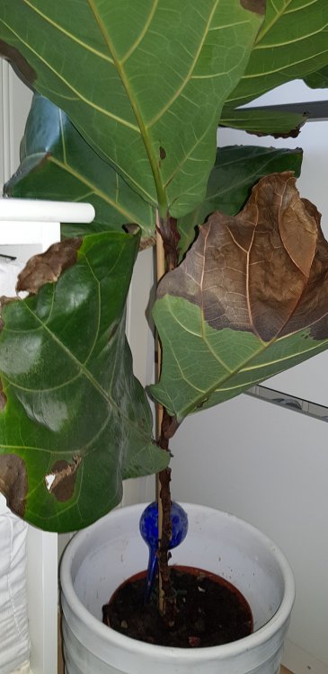 20190225_115946.jpg