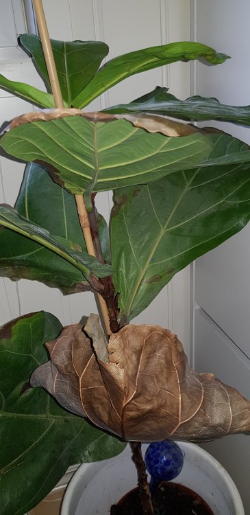 20190225_115953.jpg