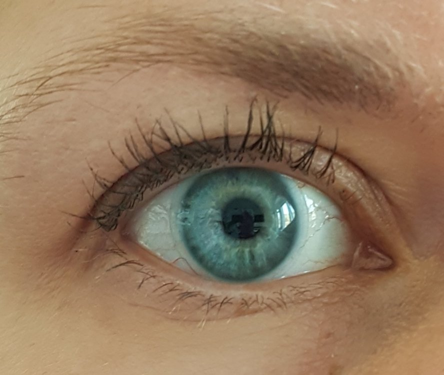 20190405_110417.jpg