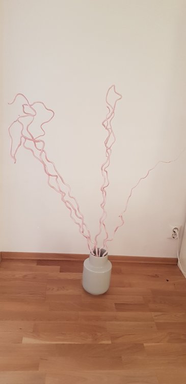 20190406_191959.jpg
