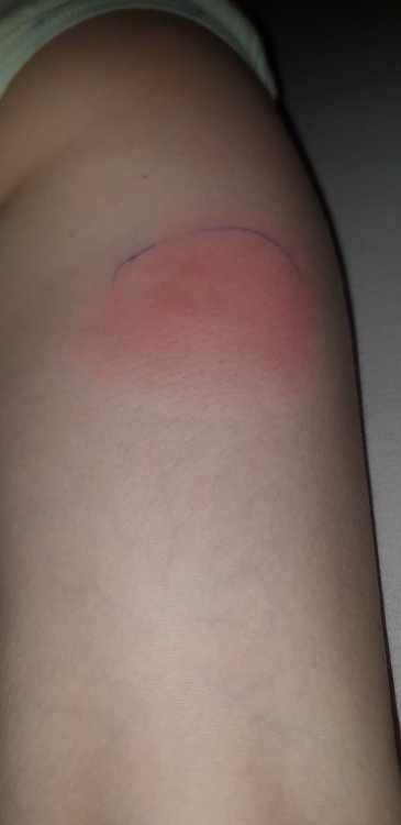 20190701_060850.jpg