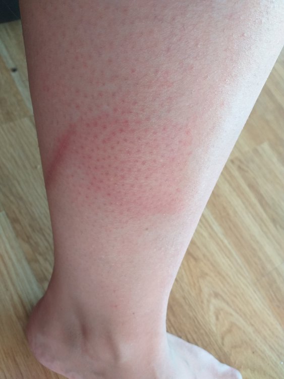 20190727_173931.jpg