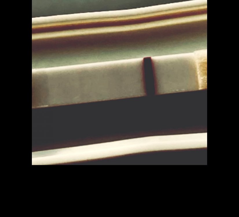36DF118F-27DD-4585-BE21-26F67B2C1A4D.jpeg