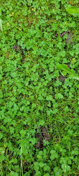 20221001_110359.jpg