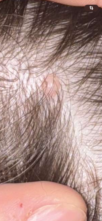 IMG_4941.thumb.png.65315893013b413dd7e01eb384dc0348.png